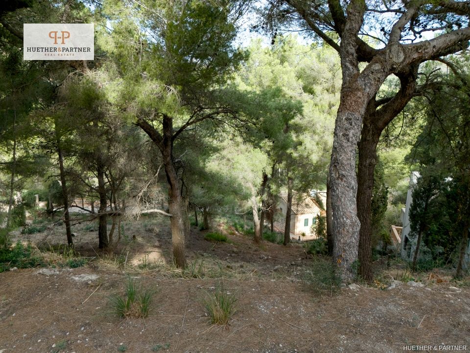 Helårsgrund i Canyamel, Mallorca - foto 3