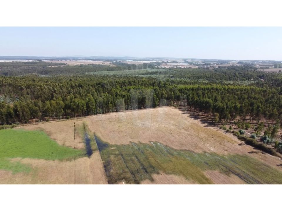 Landejendom i Sao Teotonio, Beja - foto 3