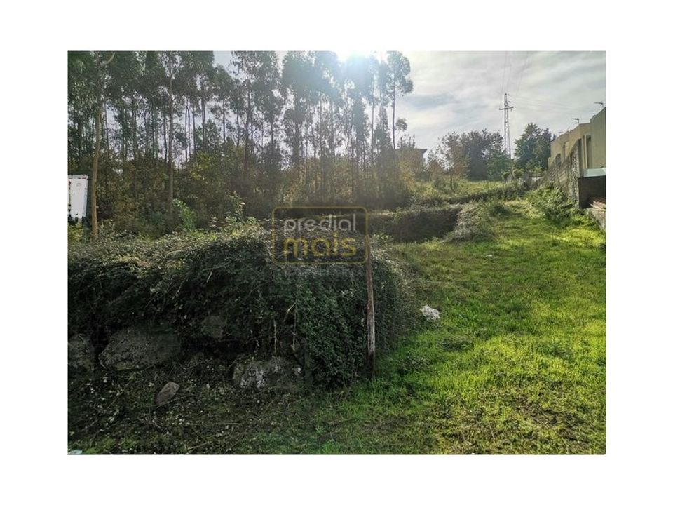 Helårsgrund i Penafiel, Porto - foto 5