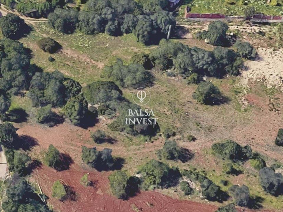 Helårsgrund i Santa Barbara de Nexe, Faro - foto 2