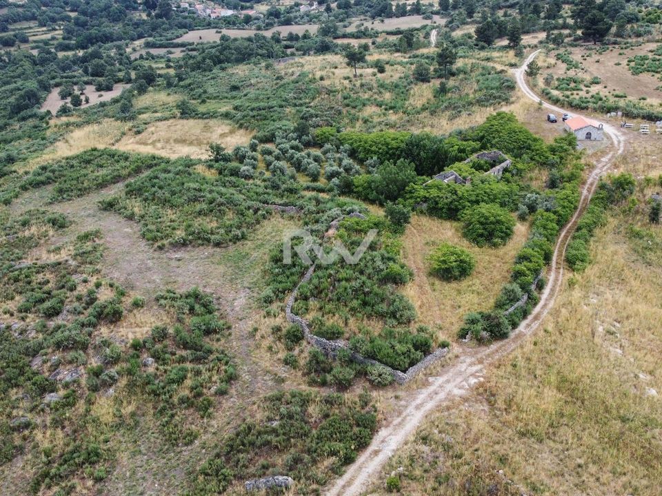 Helårsgrund i Linhares, Braganca - foto 3