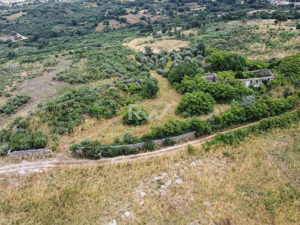 Helårsgrund i Linhares, Braganca - foto 5