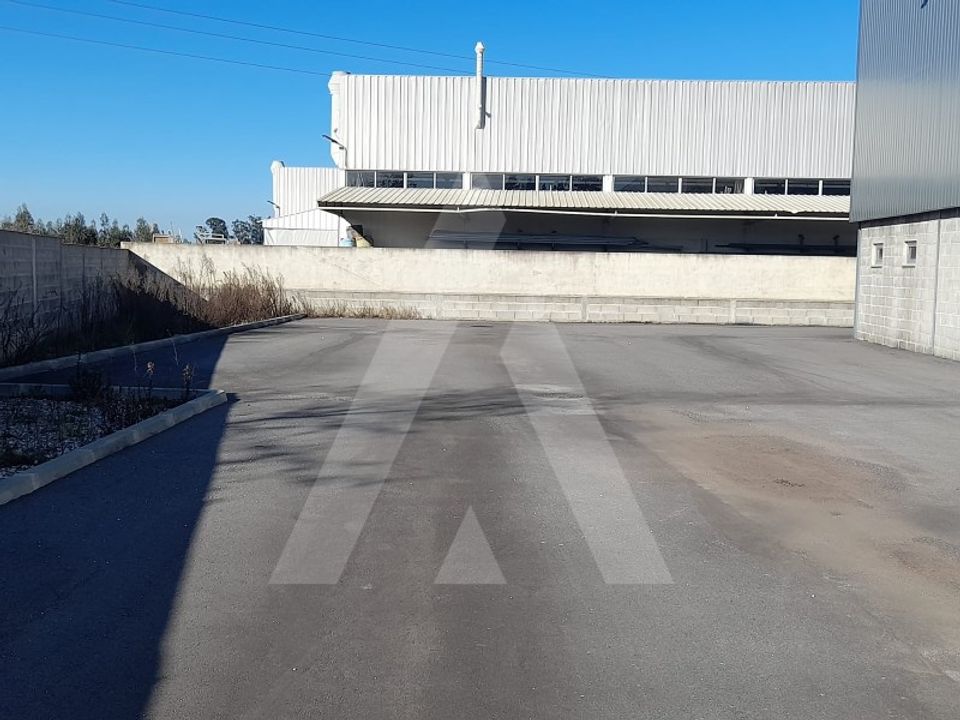 Erhvervsejendom i Oliveira do Bairro, Aveiro - foto 2