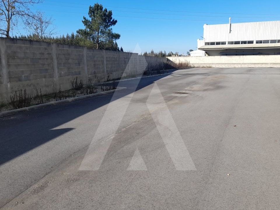 Erhvervsejendom i Oliveira do Bairro, Aveiro - foto 4