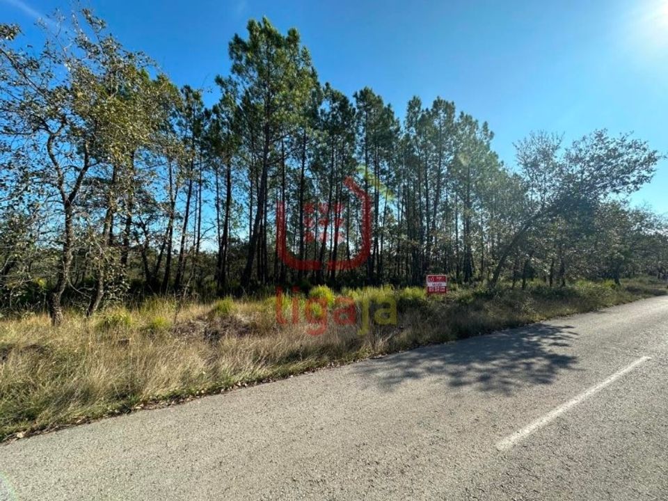 Helårsgrund i Ourem, Santarem - foto 2