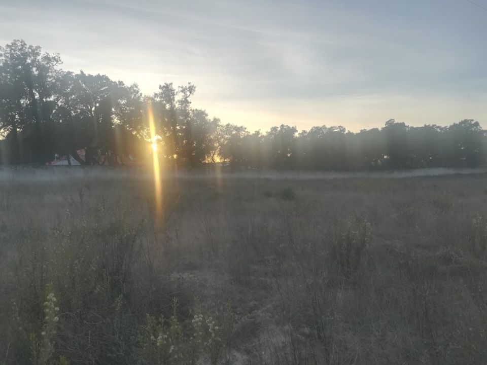 Helårsgrund i Vale da Pedra, Santarem - foto 1