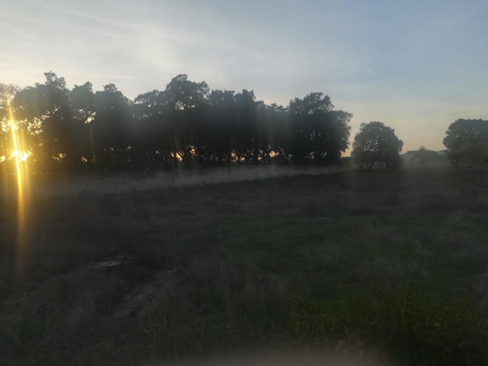 Helårsgrund i Vale da Pedra, Santarem - foto 2