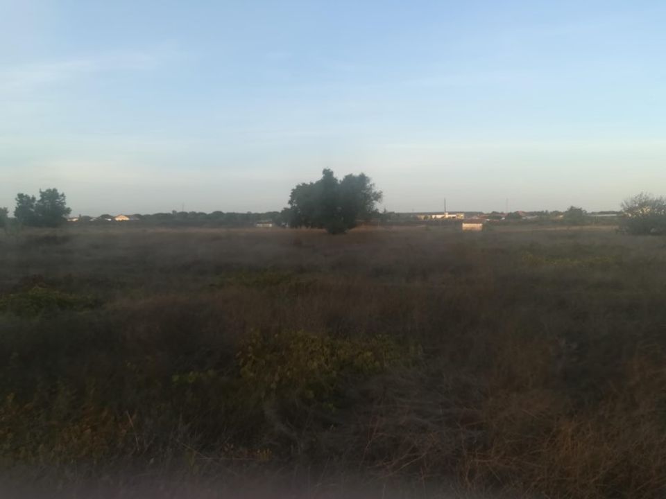 Helårsgrund i Vale da Pedra, Santarem - foto 3