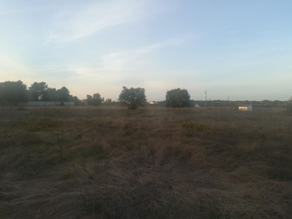 Helårsgrund i Vale da Pedra, Santarem - foto 4