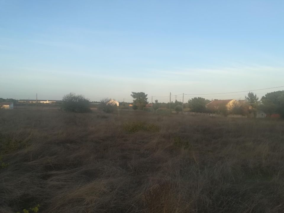Helårsgrund i Vale da Pedra, Santarem - foto 5
