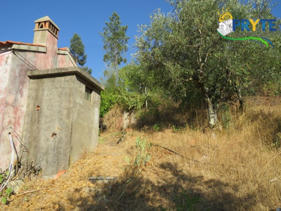 Farm i Varzea dos Cavaleiros, Castelo Branco - foto 5