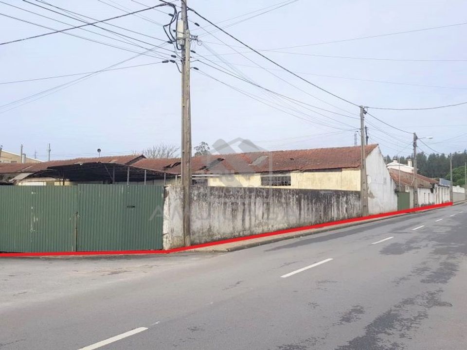 Tomt i Agueda, Aveiro - bilde 2