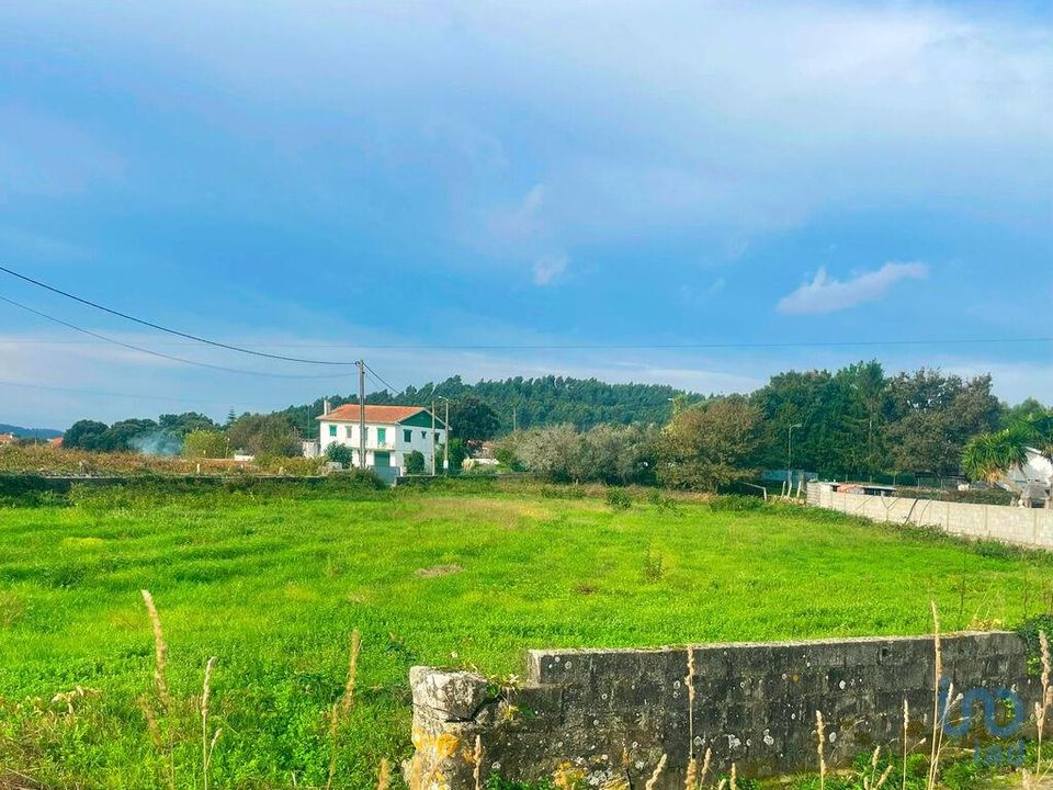 Helårsgrund i Caminha, Viana do Castelo - foto 1