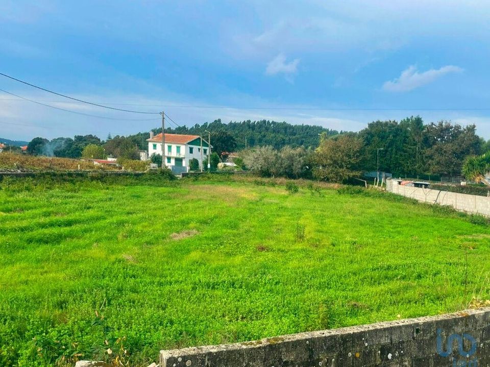 Helårsgrund i Caminha, Viana do Castelo - foto 2