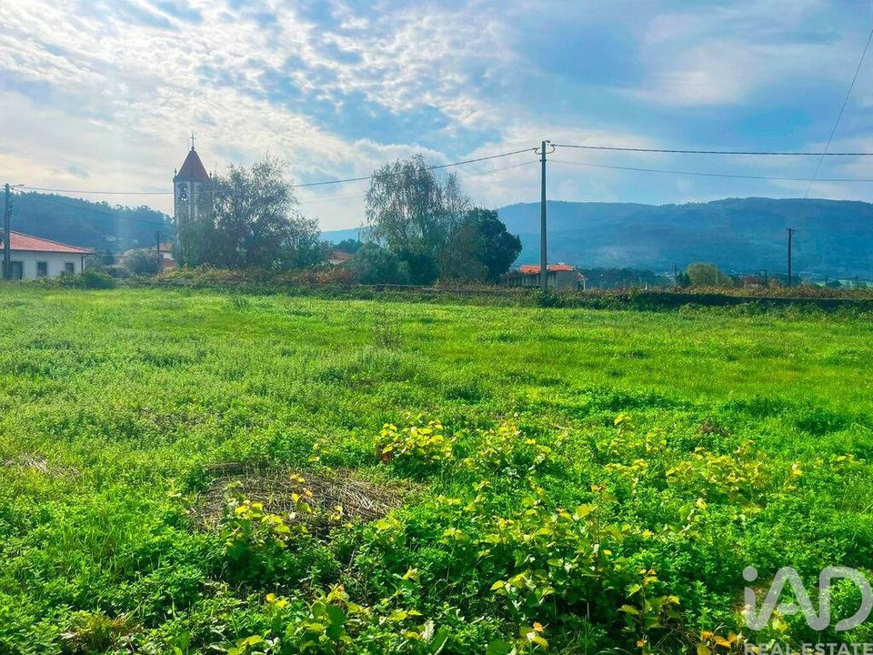 Helårsgrund i Caminha, Viana do Castelo - foto 4