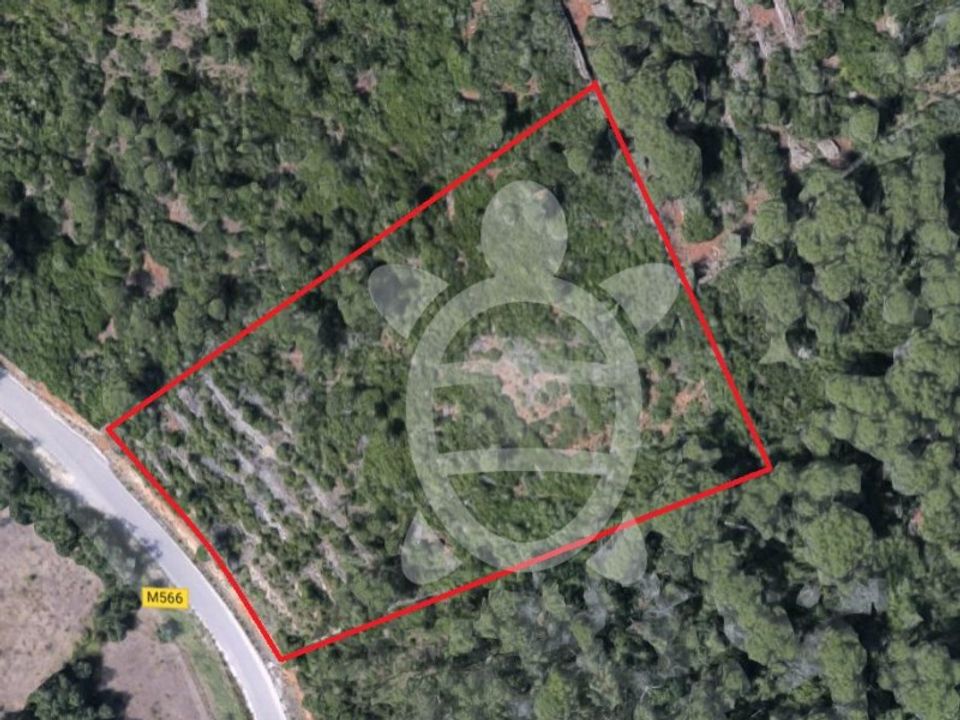 Terreno en Condeixa-a-Nova, Coimbra - foto 3