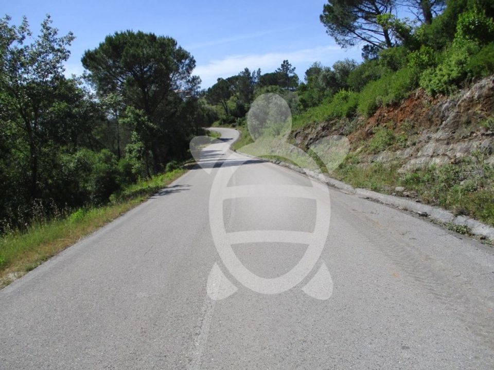 Terreno en Condeixa-a-Nova, Coimbra - foto 1