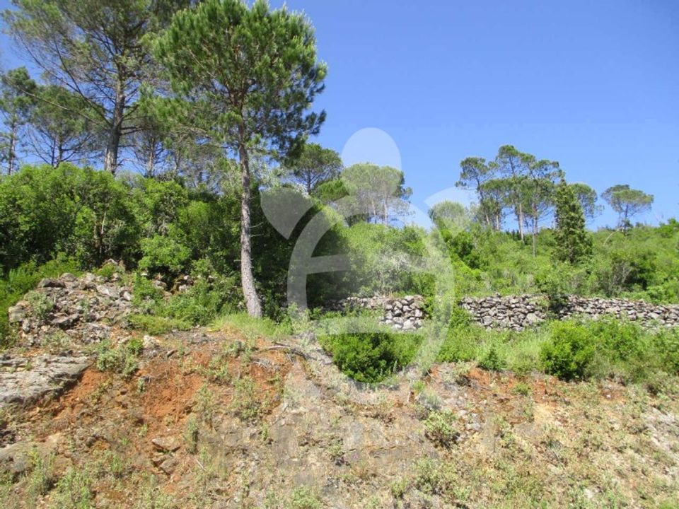 Terreno en Condeixa-a-Nova, Coimbra - foto 2
