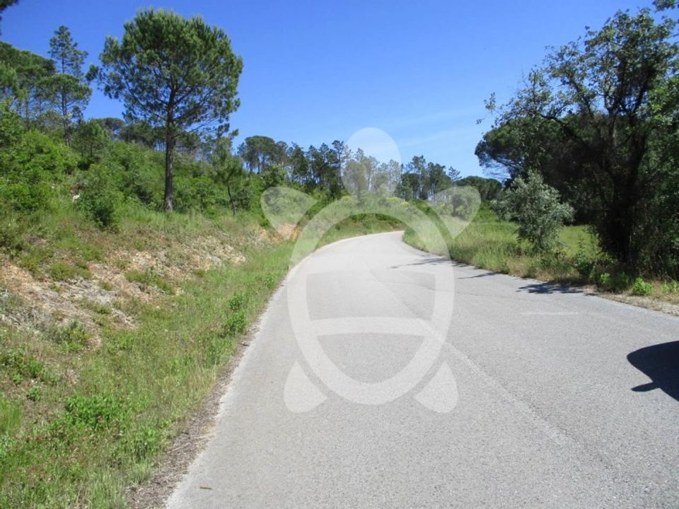 Terreno en Condeixa-a-Nova, Coimbra - foto 4