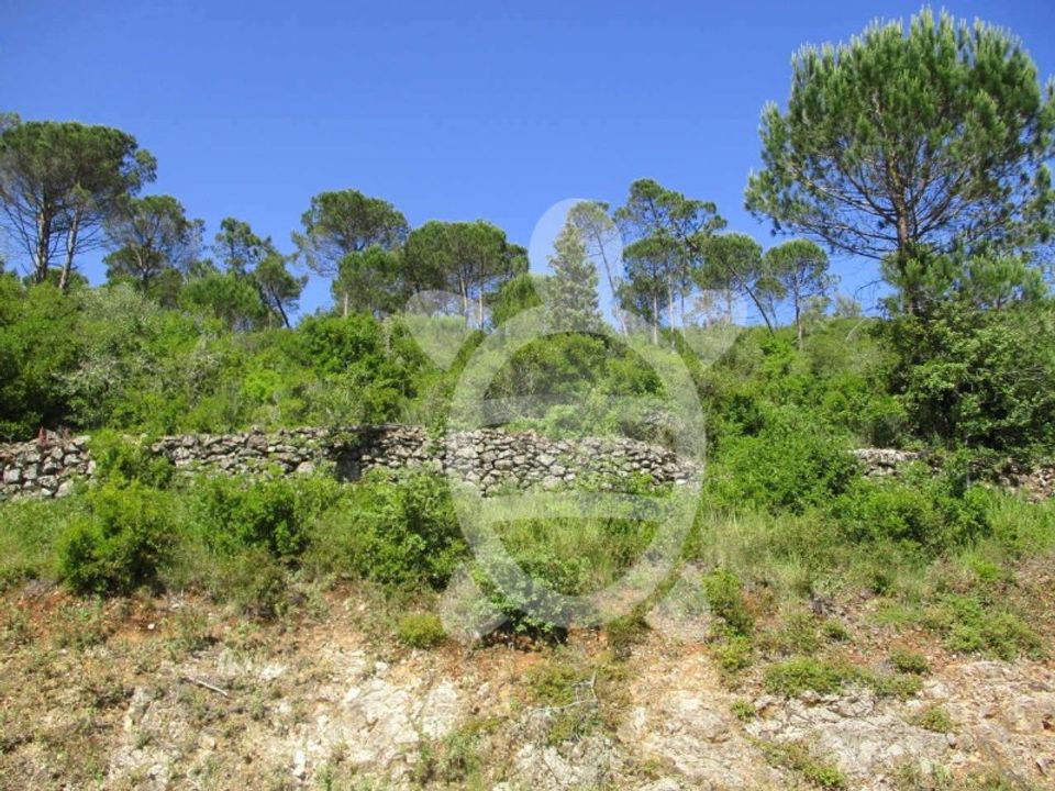 Terreno en Condeixa-a-Nova, Coimbra - foto 5