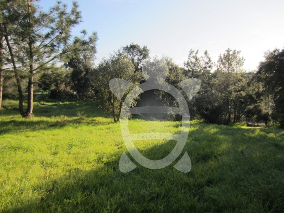 Helårsgrund i Vila Verde, Coimbra - foto 5
