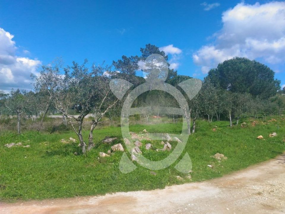 Terra em Cernache, Coimbra - foto 1