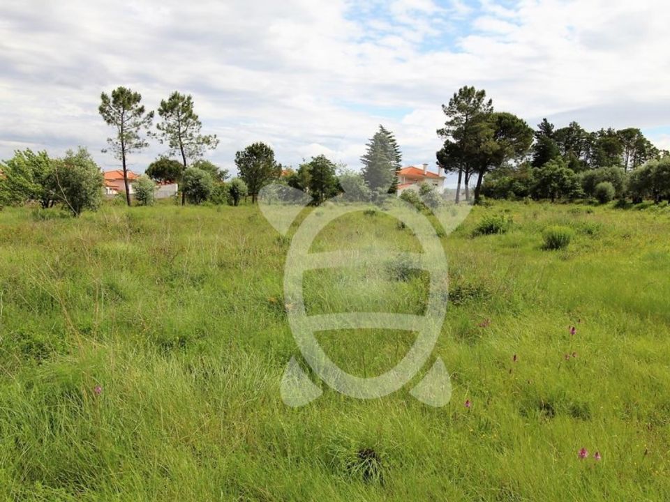 Terra a Condeixa-a-Nova, Coimbra - foto 1