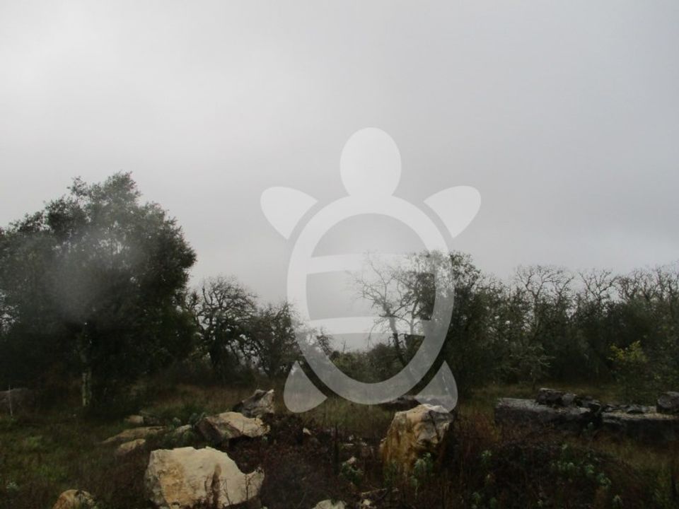 Helårsgrund i Cumeeira, Coimbra - foto 5