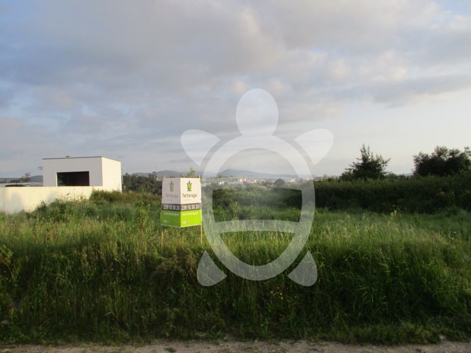 Działka: Cernache, Coimbra – zdjęcie 5