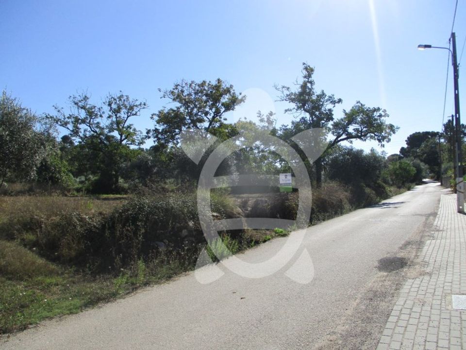 Helårsgrund i Condeixa-a-Nova, Coimbra - foto 3