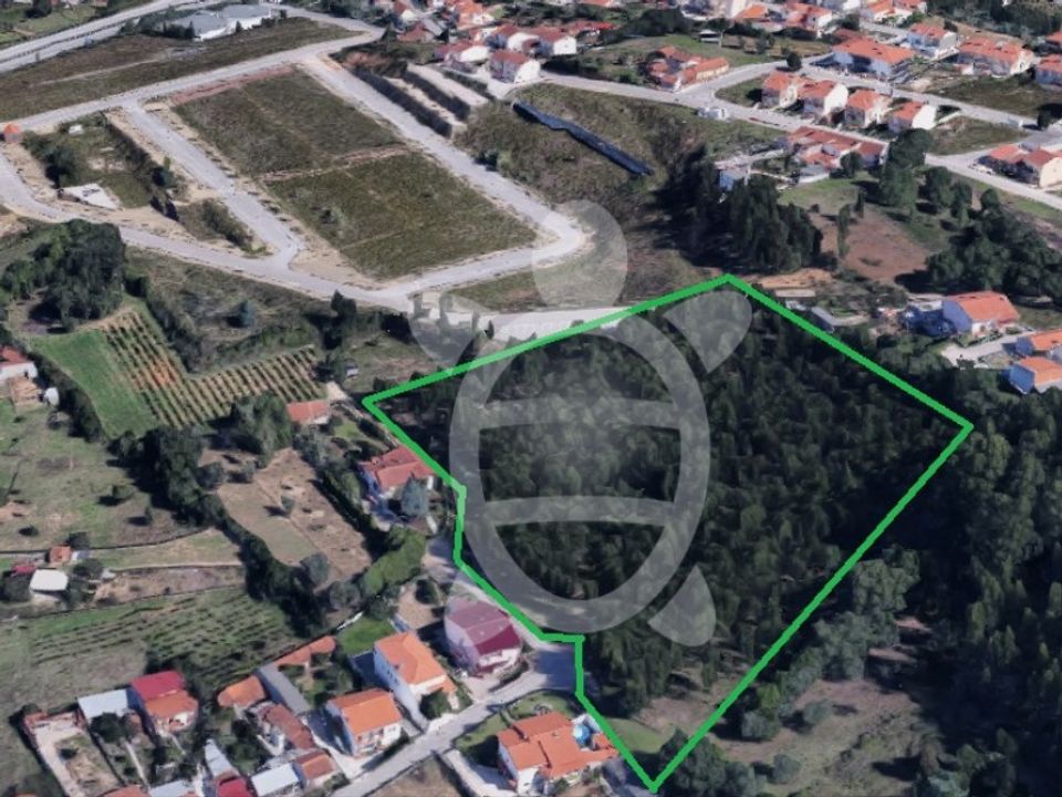 Helårsgrund i Coimbra, Coimbra - foto 4