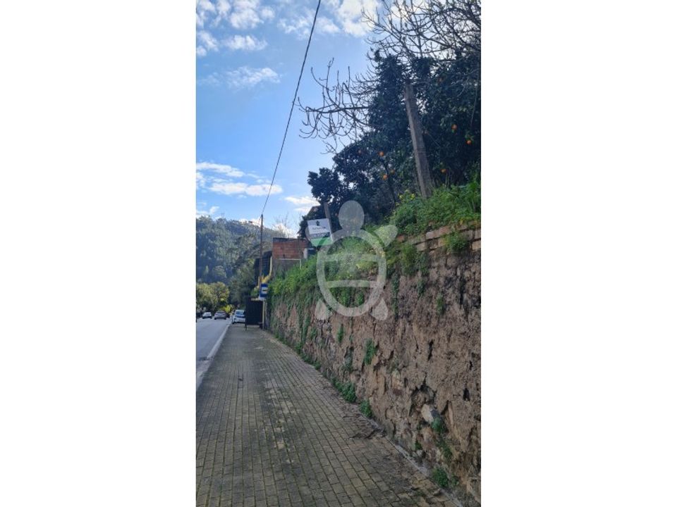 Tomt i Ceira, Coimbra - bilde 5