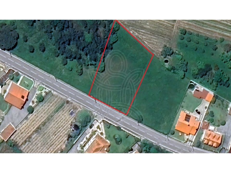 Helårsgrund i Cantanhede, Coimbra - foto 1