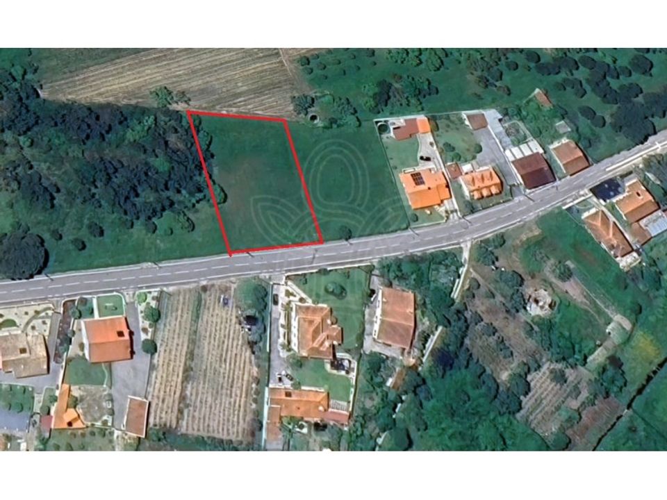 Helårsgrund i Cantanhede, Coimbra - foto 4