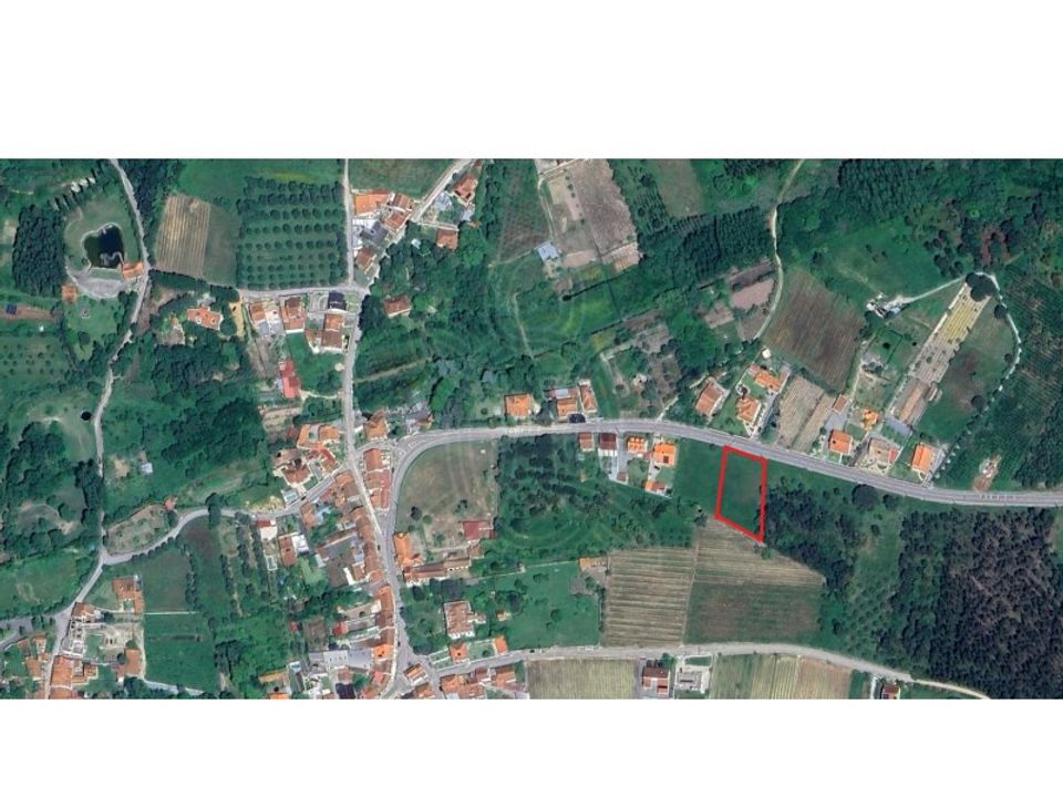 Helårsgrund i Cantanhede, Coimbra - foto 3