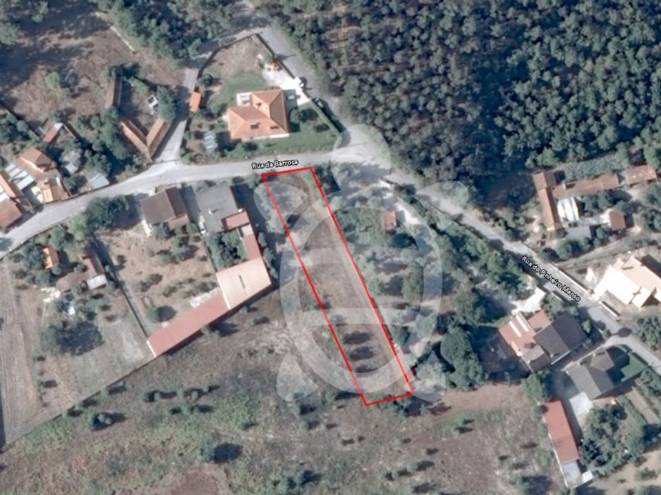 Helårsgrund i Cantanhede, Coimbra - foto 5