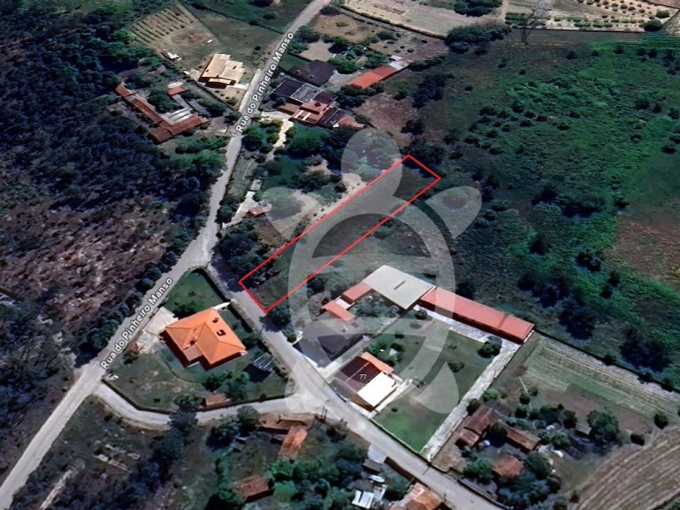 Helårsgrund i Cantanhede, Coimbra - foto 2