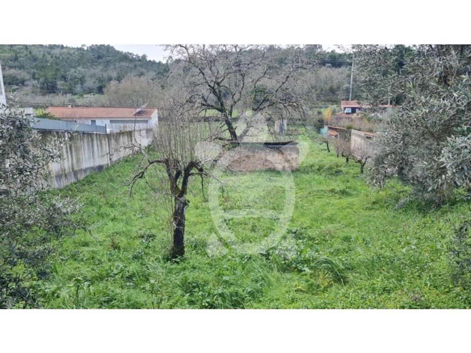 Tomt i Assafarge e Antanhol, Coimbra - bilde 3
