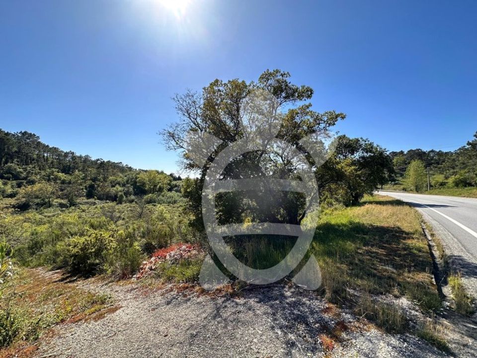 Helårsgrund i Condeixa-a-Nova, Coimbra - foto 5