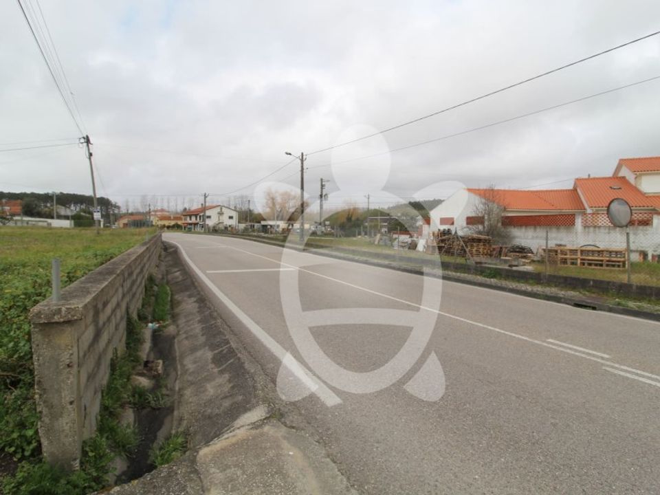 Tomt i Souto da Carpalhosa e Ortigosa, Leiria - bilde 3