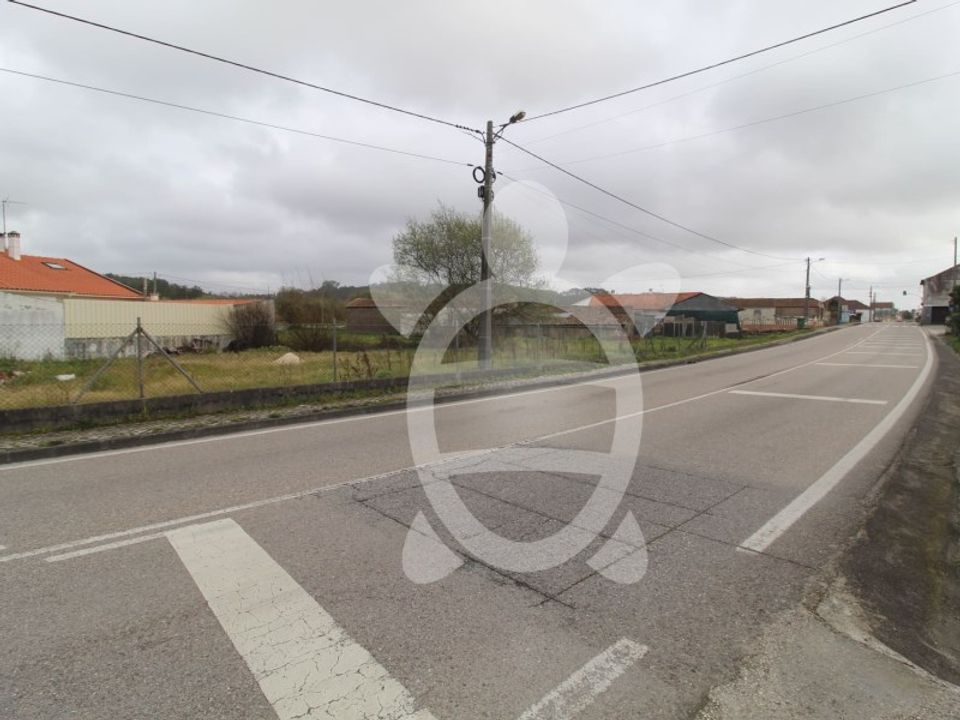 Tomt i Souto da Carpalhosa e Ortigosa, Leiria - bilde 4