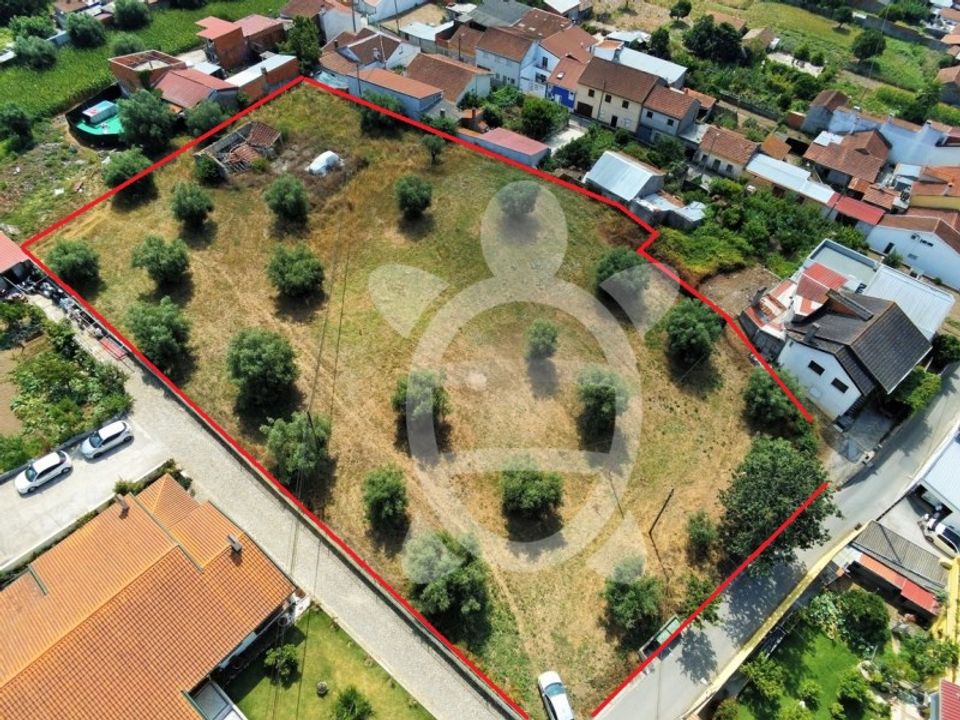 Helårsgrund i Sao Silvestre, Coimbra - foto 1