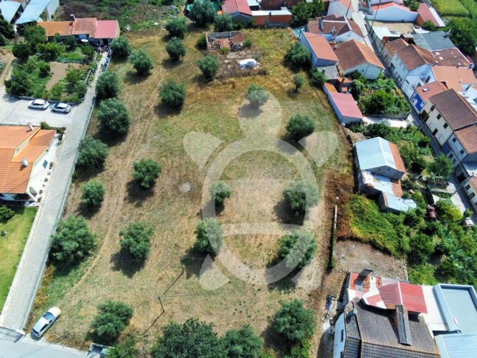 Helårsgrund i Sao Silvestre, Coimbra - foto 5