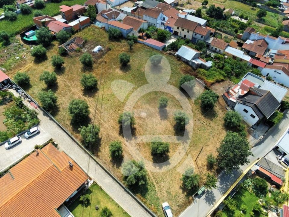 Helårsgrund i Sao Silvestre, Coimbra - foto 3