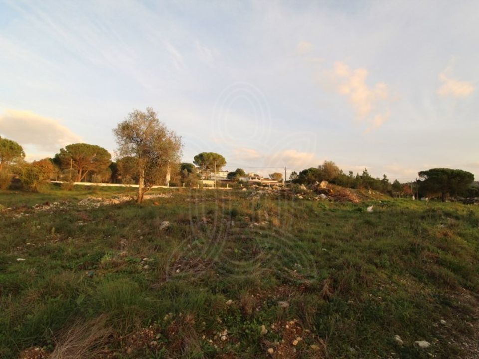 Tomt i Cernache, Coimbra - bilde 5
