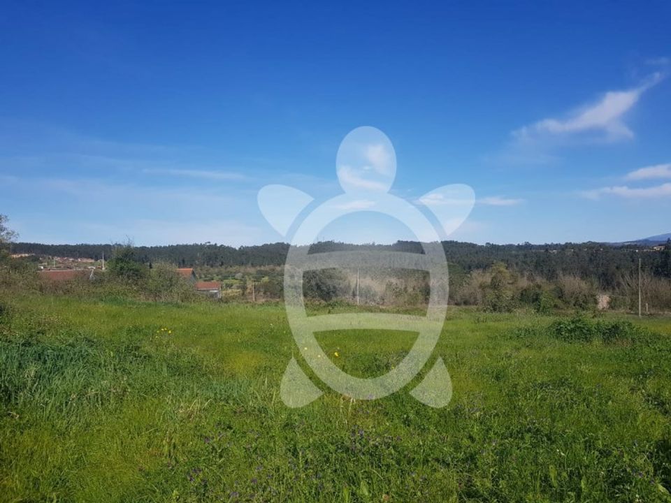 Helårsgrund i Condeixa-a-Nova, Coimbra - foto 2
