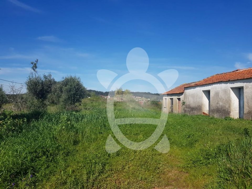 Helårsgrund i Condeixa-a-Nova, Coimbra - foto 1