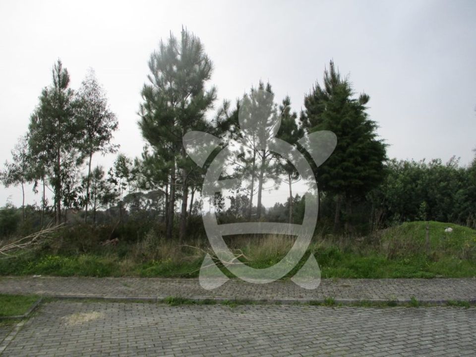 Terra em Cernache, Coimbra - foto 3