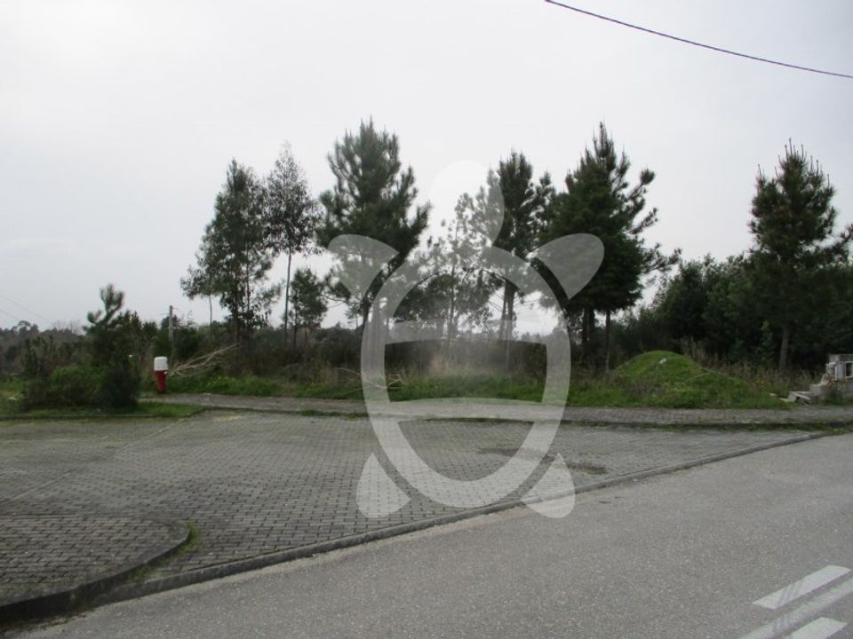 Terra em Cernache, Coimbra - foto 1