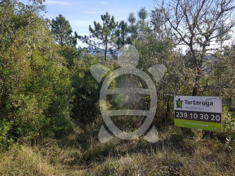 Helårsgrund i Coimbra, Coimbra - foto 2